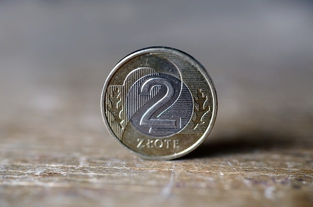 Moneta dwuzłotowa